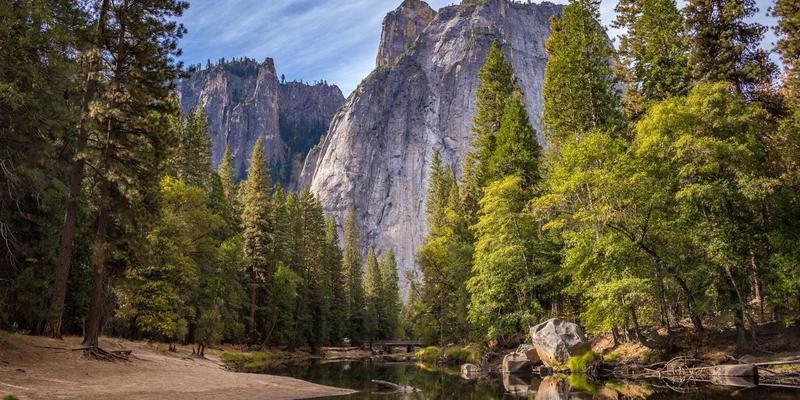 从集中式到分布式：工业自动化控制系统架构的演进与选型指南