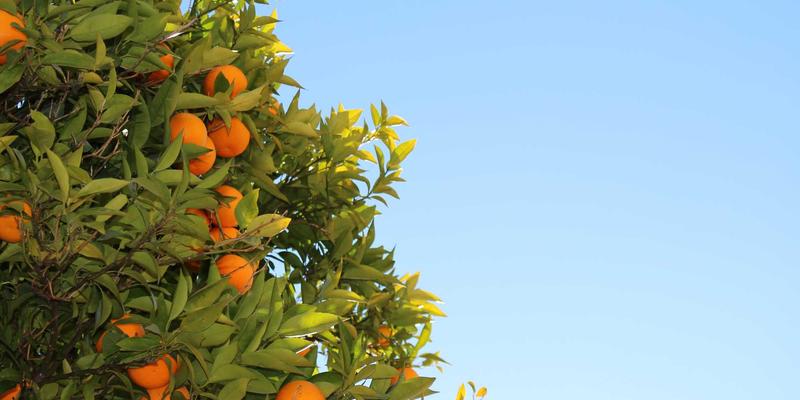 打破信息孤岛:基于OPC UA的统一数据建模如何重塑SCADA、PLC与控制系统通信新范式