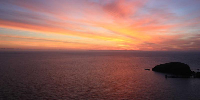 智控未来:AI算法如何重塑PLC控制逻辑,驱动工业能效革命