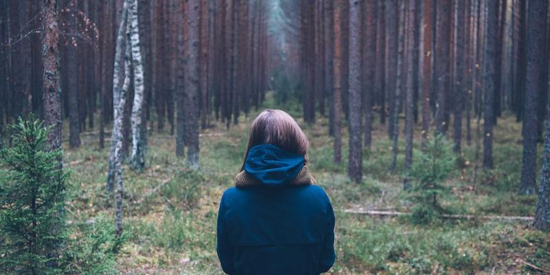 智能制造新引擎：基于机器学习的工业过程优化全流程实战