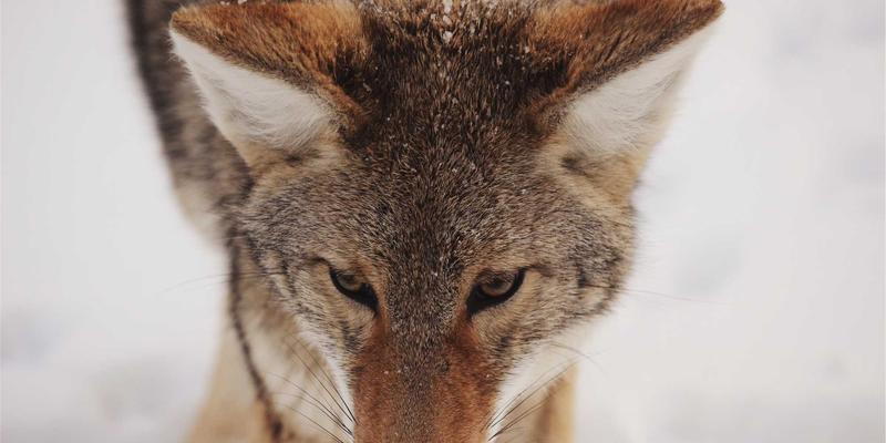 智能制造新引擎：如何通过SCADA与控制系统实现工业能耗的实时监控与优化