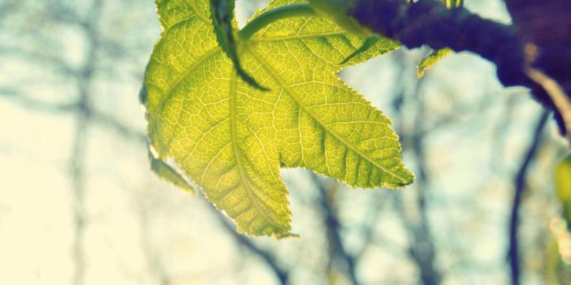 破壁者崛起:开放式自动化平台如何重构工业控制新生态