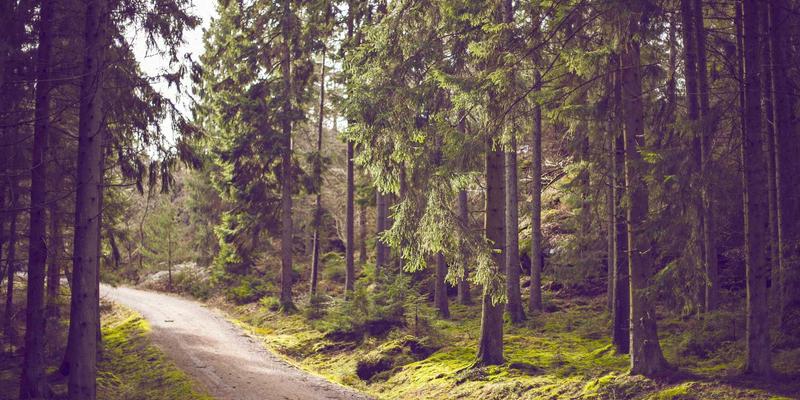 筑牢安全防线：工业自动化系统IEC 61508与ISO 13849合规性设计与认证全攻略