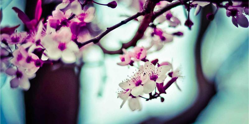 软PLC遇上容器化：工业自动化控制系统如何实现敏捷迭代与未来智造