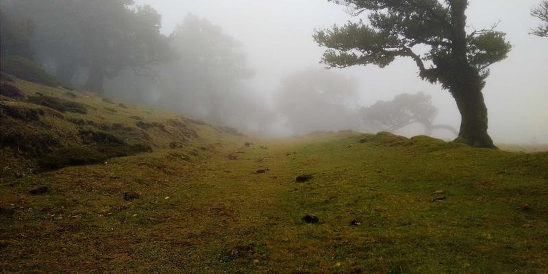 边缘智能网关：工业自动化数据采集与协议转换的“神经中枢”——江门创世自动化的实践视角
