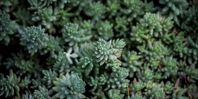 边缘计算赋能工业自动化:机器人、PLC与智能制造的实时数据革命